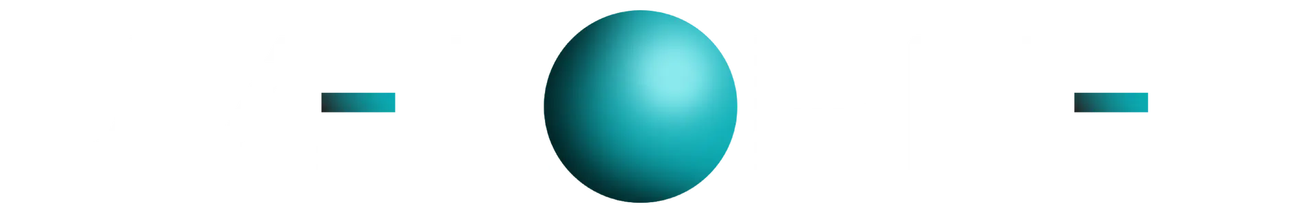 dvelopnet long logo white